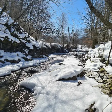 Vila Vikendica The View Pale *