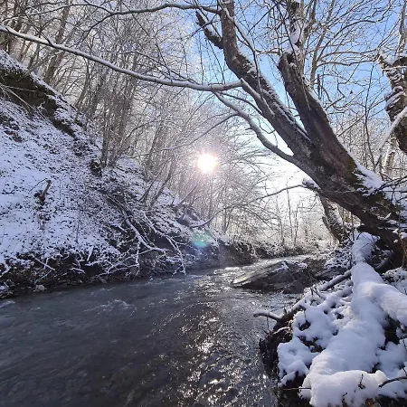 Villa Vikendica The View Pale