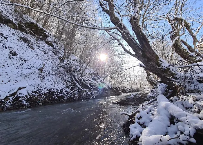 Villa Vikendica The View Pale