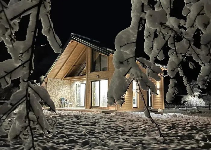 Vikendica The View Pale Villa *